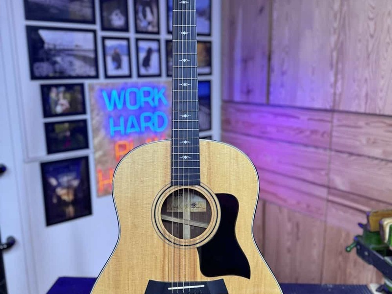 Taylor 317